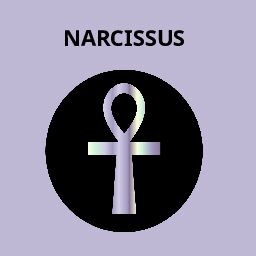 BODY MIST NARCISSUS